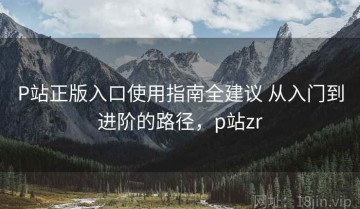 P站正版入口使用指南全建议 从入门到进阶的路径，p站zr