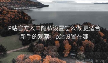 P站官方入口隐私设置怎么做 更适合新手的观察，p站设置在哪