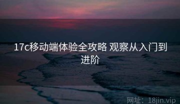 17c移动端体验全攻略 观察从入门到进阶