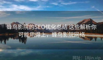 蜂鸟影院的SEO优化总结 这些解析你可能用得上，蜂鸟影院网络