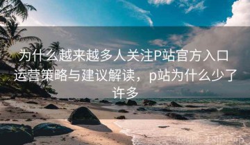 为什么越来越多人关注P站官方入口 运营策略与建议解读，p站为什么少了许多