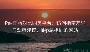 P站正版对比同类平台：访问指南差异与观察建议，跟p站相同的网站
