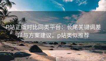 P站正版对比同类平台：长尾关键词差异与方案建议，p站类似推荐
