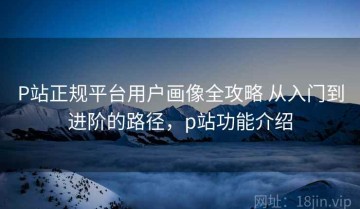 P站正规平台用户画像全攻略 从入门到进阶的路径，p站功能介绍