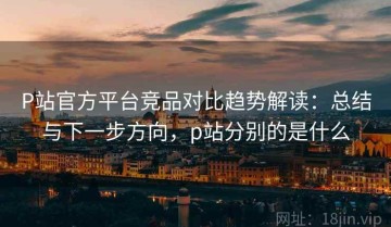 P站官方平台竞品对比趋势解读：总结与下一步方向，p站分别的是什么