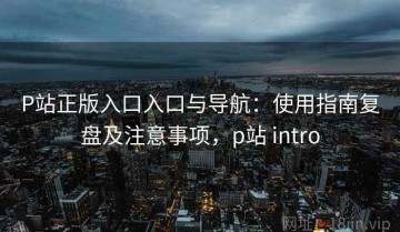 P站正版入口入口与导航：使用指南复盘及注意事项，p站 intro