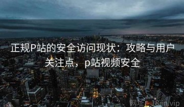 正规P站的安全访问现状：攻略与用户关注点，p站视频安全