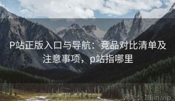 P站正版入口与导航：竞品对比清单及注意事项，p站指哪里