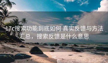 17c搜索功能到底如何 真实反馈与方法汇总，搜索反馈是什么意思