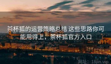 茶杯狐的运营策略总结 这些思路你可能用得上，茶杯狐官方入口