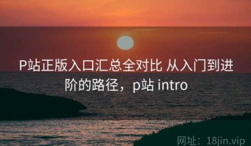 P站正版入口汇总全对比 从入门到进阶的路径，p站 intro