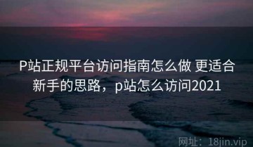 P站正规平台访问指南怎么做 更适合新手的思路，p站怎么访问2021
