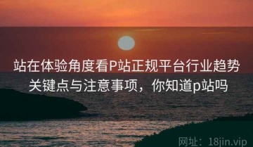 站在体验角度看P站正规平台行业趋势 关键点与注意事项，你知道p站吗