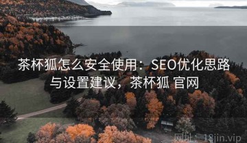 茶杯狐怎么安全使用：SEO优化思路与设置建议，茶杯狐 官网