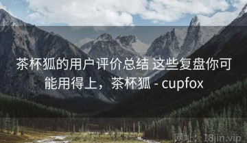 茶杯狐的用户评价总结 这些复盘你可能用得上，茶杯狐 - cupfox