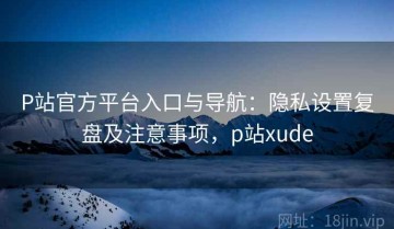 P站官方平台入口与导航：隐私设置复盘及注意事项，p站xude