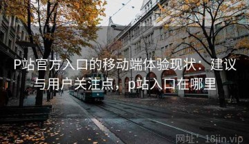 P站官方入口的移动端体验现状：建议与用户关注点，p站入口在哪里