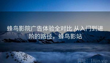 蜂鸟影院广告体验全对比 从入门到进阶的路径，蜂鸟影站