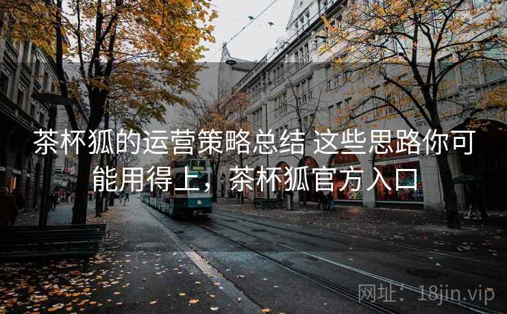 茶杯狐的运营策略总结 这些思路你可能用得上，茶杯狐官方入口