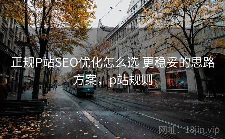 正规P站SEO优化怎么选 更稳妥的思路方案，p站规则