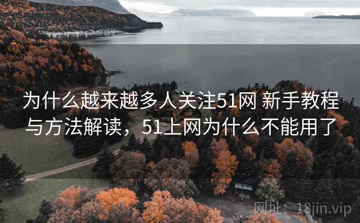 为什么越来越多人关注51网 新手教程与方法解读，51上网为什么不能用了