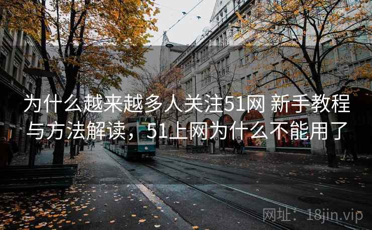 为什么越来越多人关注51网 新手教程与方法解读，51上网为什么不能用了