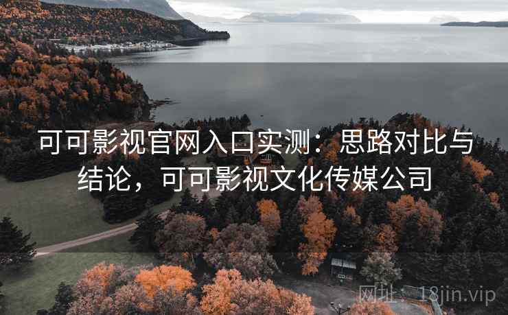 可可影视官网入口实测：思路对比与结论，可可影视文化传媒公司