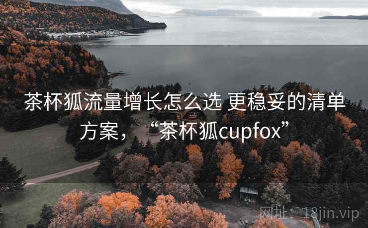 茶杯狐流量增长怎么选 更稳妥的清单方案，“茶杯狐cupfox”