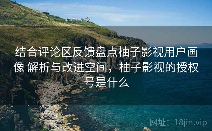 结合评论区反馈盘点柚子影视用户画像 解析与改进空间，柚子影视的授权号是什么