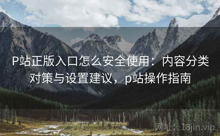 P站正版入口怎么安全使用：内容分类对策与设置建议，p站操作指南