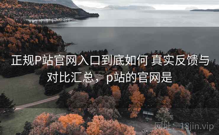 正规P站官网入口到底如何 真实反馈与对比汇总，p站的官网是