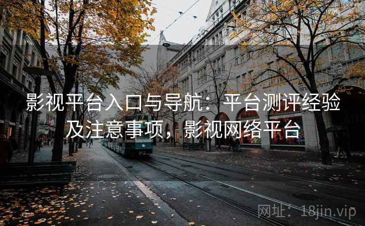 影视平台入口与导航：平台测评经验及注意事项，影视网络平台
