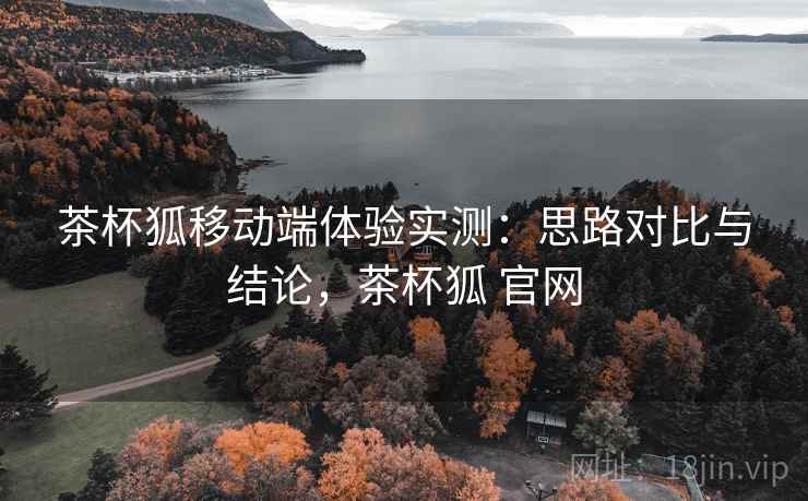 茶杯狐移动端体验实测：思路对比与结论，茶杯狐 官网