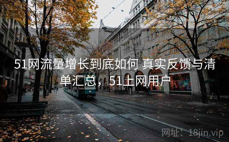 51网流量增长到底如何 真实反馈与清单汇总，51上网用户