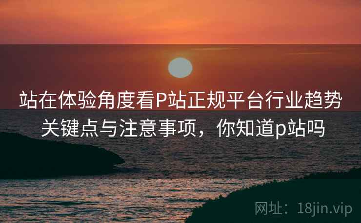 站在体验角度看P站正规平台行业趋势 关键点与注意事项，你知道p站吗
