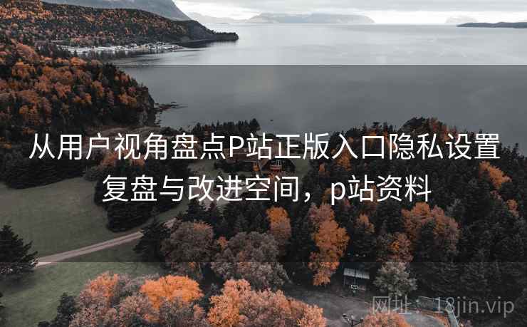 从用户视角盘点P站正版入口隐私设置 复盘与改进空间，p站资料