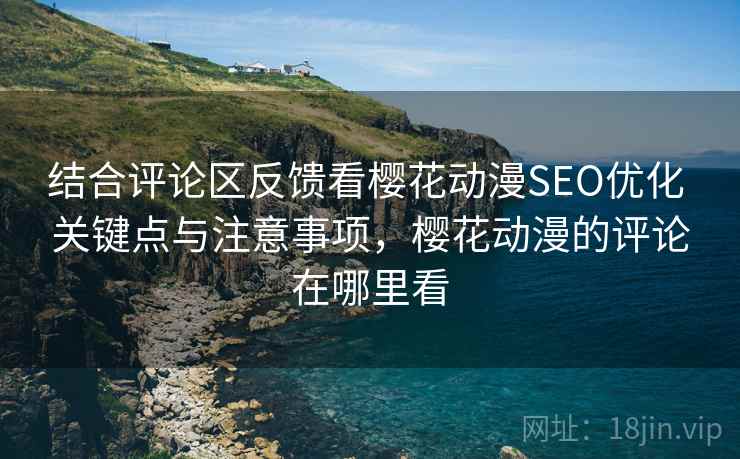 结合评论区反馈看樱花动漫SEO优化 关键点与注意事项，樱花动漫的评论在哪里看