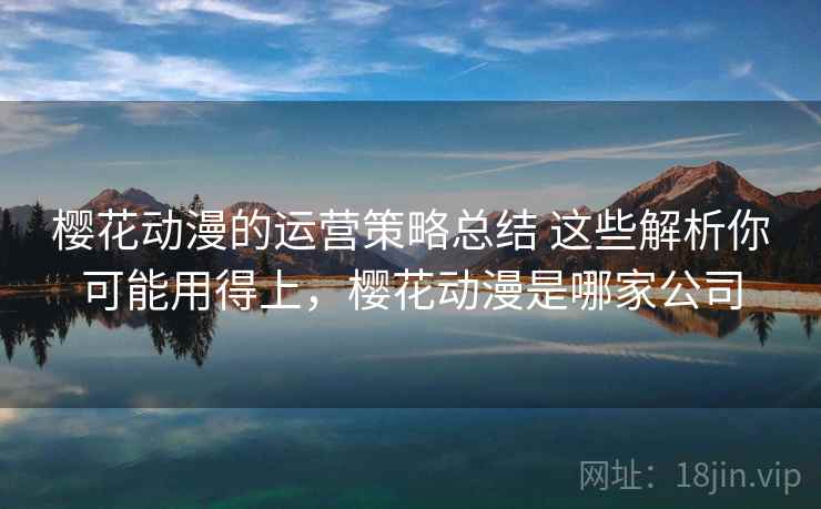 樱花动漫的运营策略总结 这些解析你可能用得上，樱花动漫是哪家公司