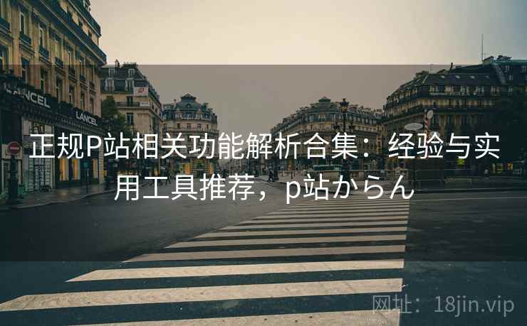 正规P站相关功能解析合集：经验与实用工具推荐，p站からん