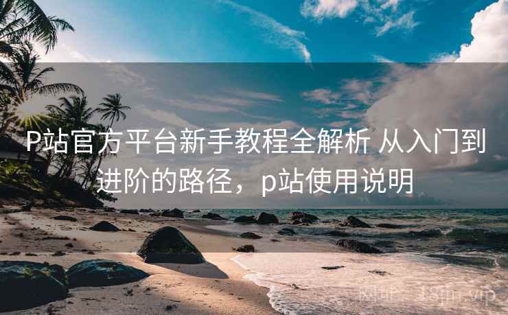 P站官方平台新手教程全解析 从入门到进阶的路径，p站使用说明