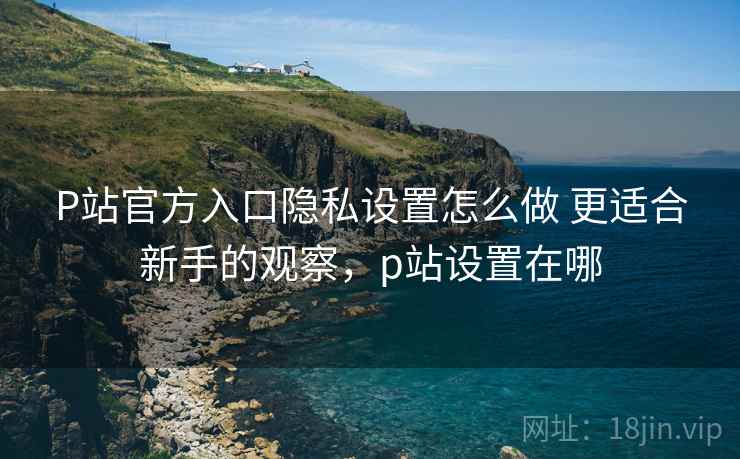 P站官方入口隐私设置怎么做 更适合新手的观察，p站设置在哪