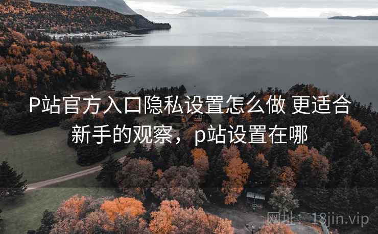 P站官方入口隐私设置怎么做 更适合新手的观察，p站设置在哪