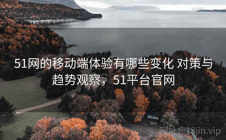 51网的移动端体验有哪些变化 对策与趋势观察，51平台官网