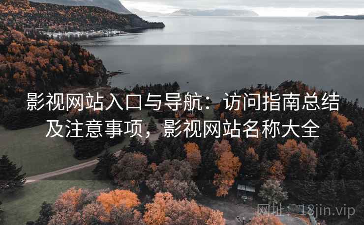 影视网站入口与导航：访问指南总结及注意事项，影视网站名称大全