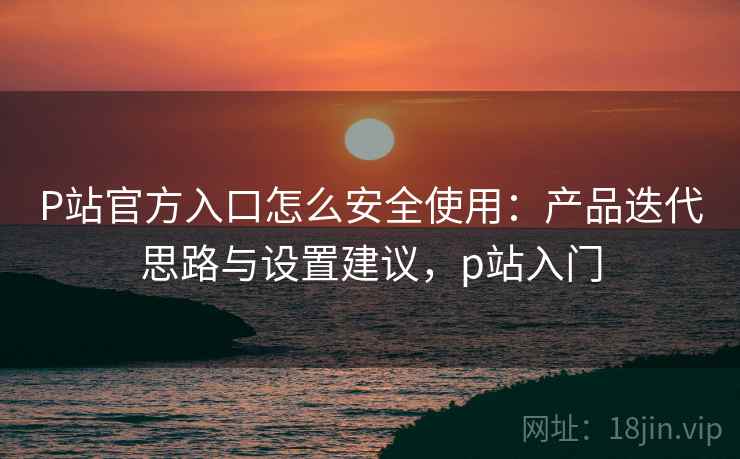 P站官方入口怎么安全使用：产品迭代思路与设置建议，p站入门